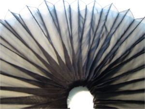 stacks_image_64BFE774-7574-4FDF-BC32-A247C1C84D1D